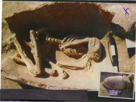 470 x 353 · 60 kB · jpeg, Kültür ve Turizm Bakanlığı