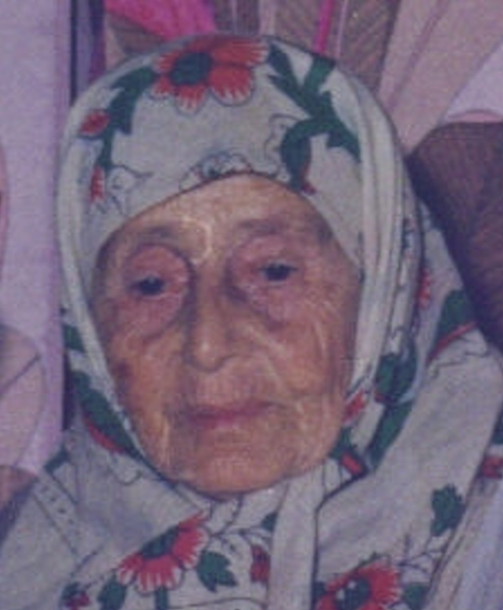 3346 kez baklm.