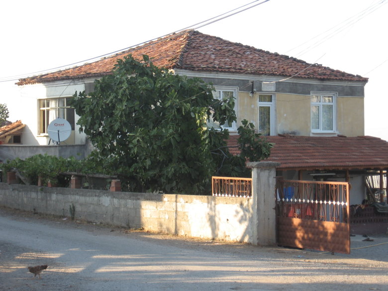 3826 kez baklm.