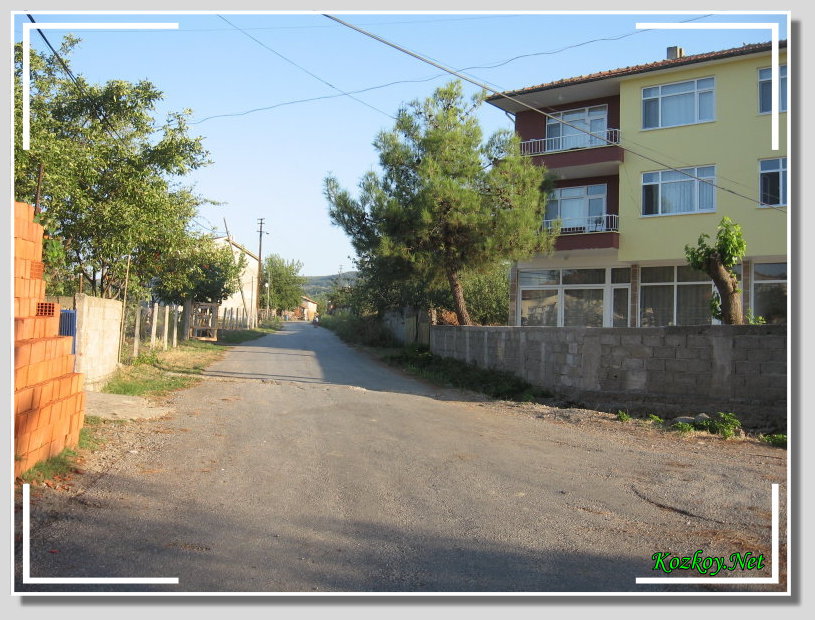 2608 kez baklm.